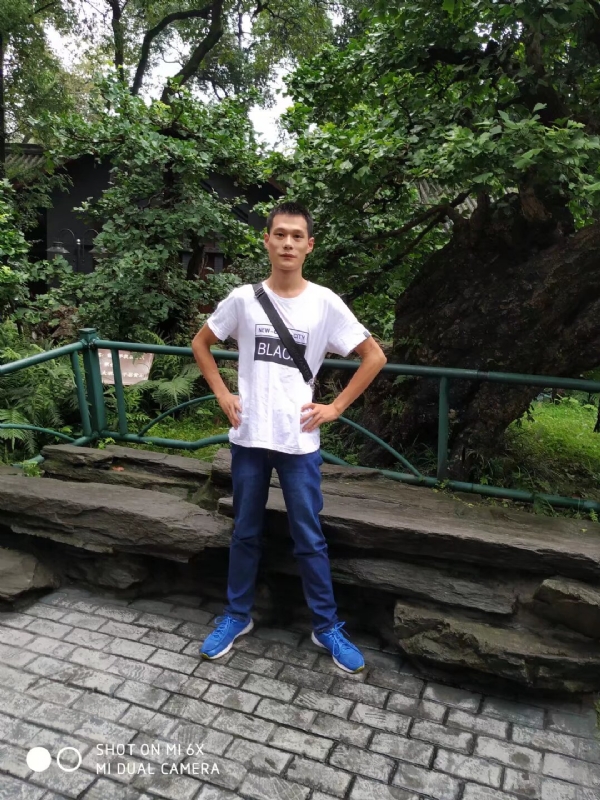 会飞的猪的第一张照片--四川认干亲服务网